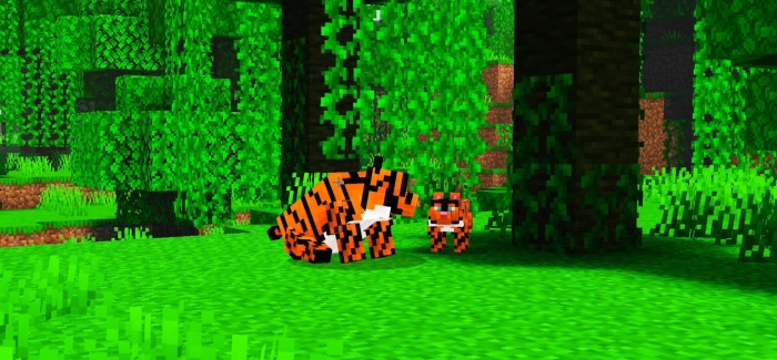 Felines Kingdom: Screenshot 1