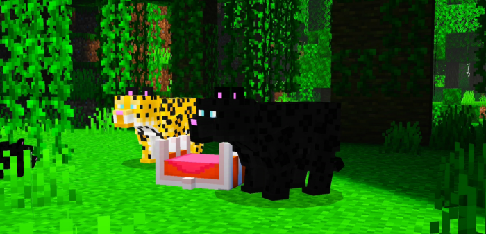 Felines Kingdom: Screenshot 2