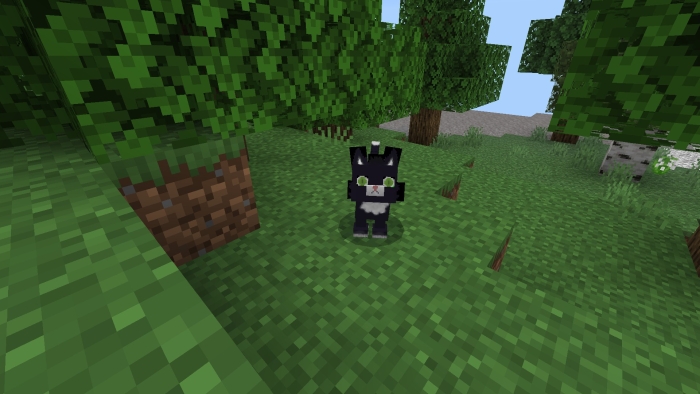 Hytale Cat: Screenshot 1