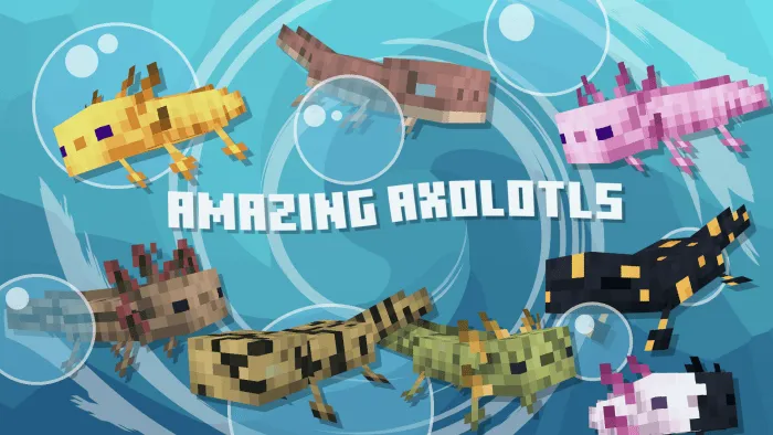 Amazing Axolotls Banner