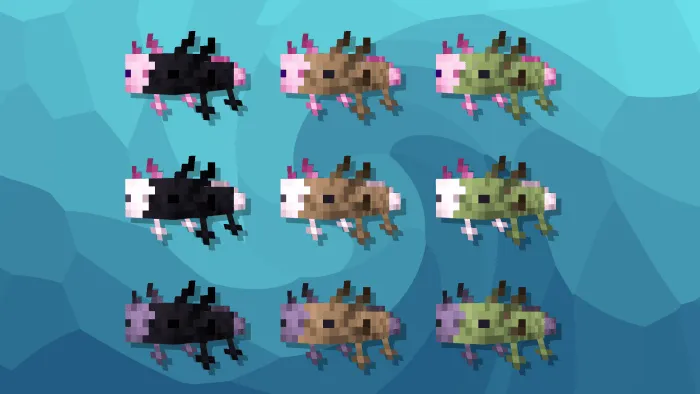 Chimera Axolotls