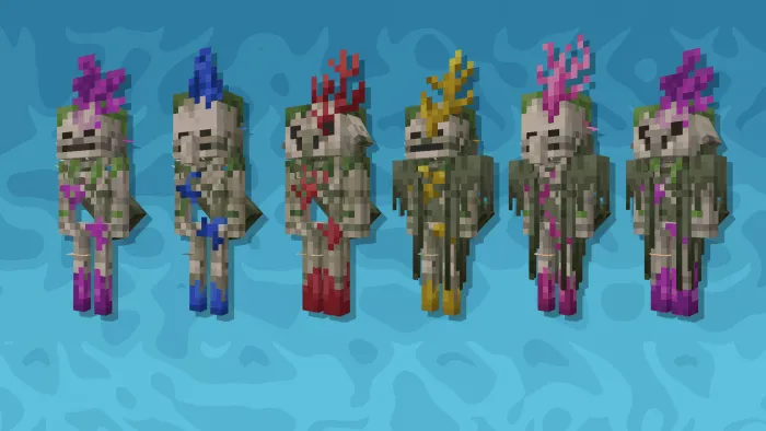 Coral Skeletons