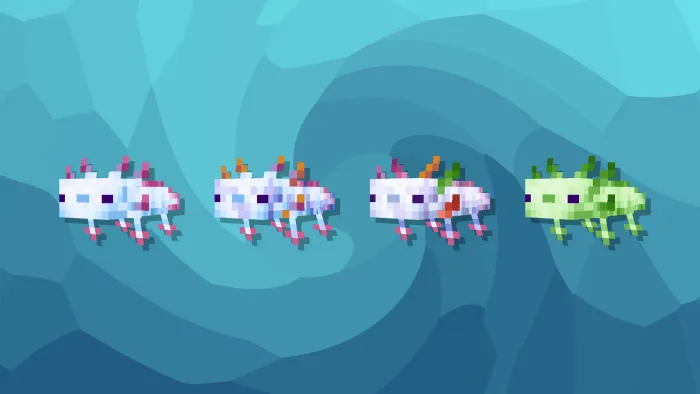 Cyan Axolotls
