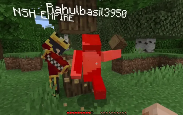 Minecraft, but if you take damage, a random mob will spawn: Screenshot 3