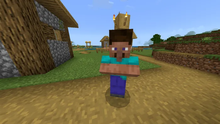 Villager Steve: Screenshot