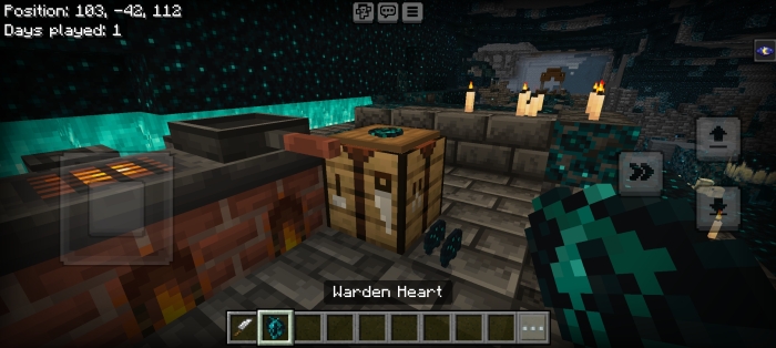 Warden Heart: Screenshot