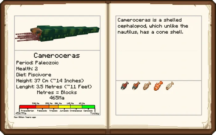 Cameroceras