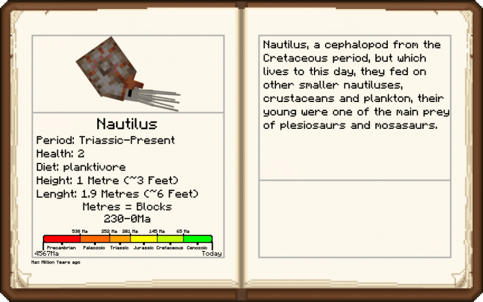 Nautilus