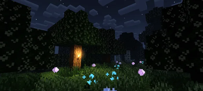 Newb Complementary Lite - Night: Screenshot