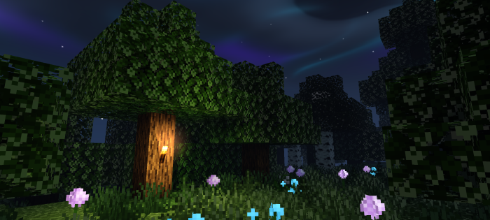 Newb Complementary Unbound - Night Illumination: Screenshot