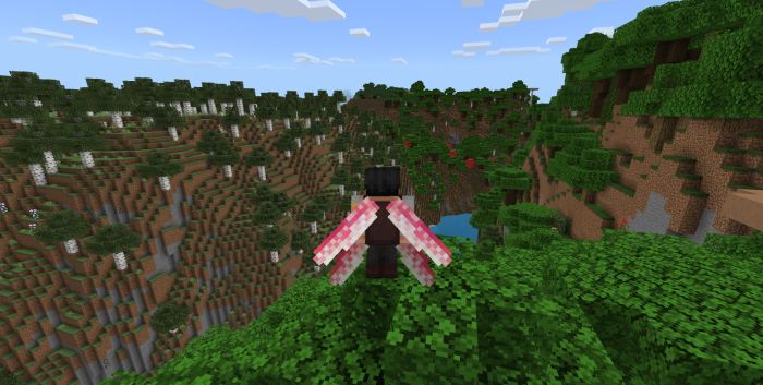 Orange and Pink Dragonfly Elytra Wings: Screenshot 3