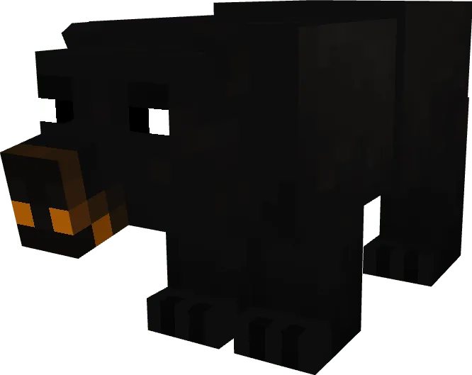 Remodeled Polarbears: Models 3