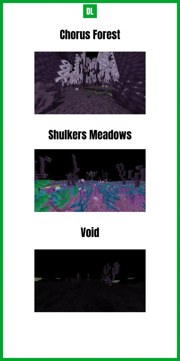 End Biomes