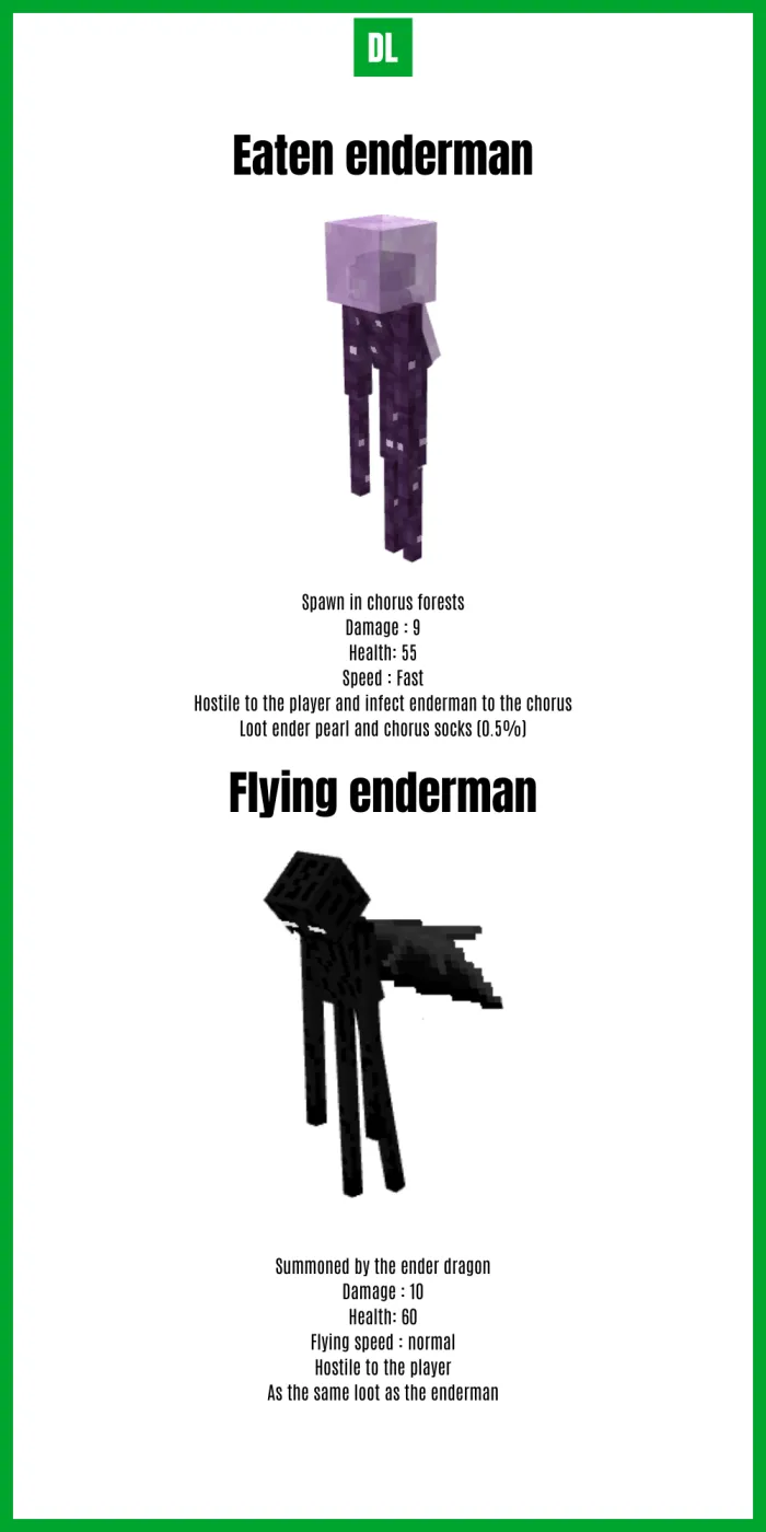 End Entities 2