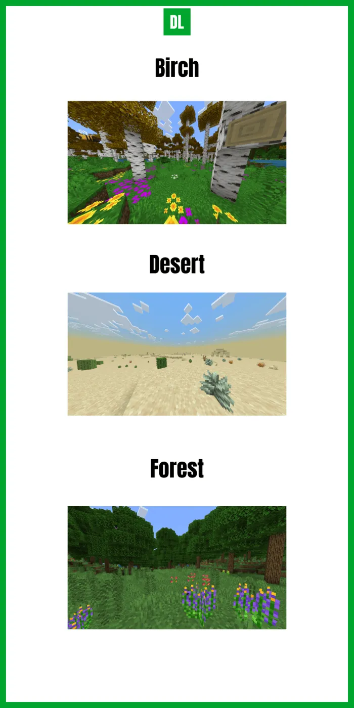 Surface Biomes 1