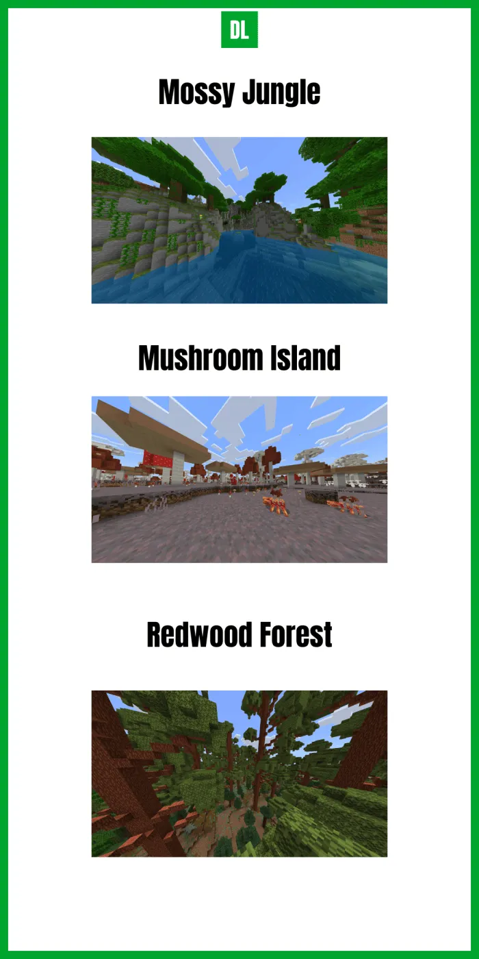 Surface Biomes 2