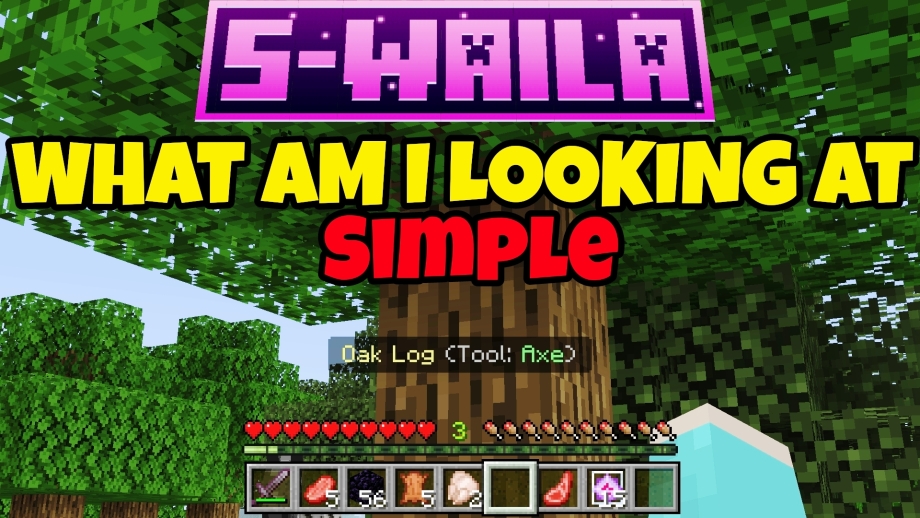 Thumbnail: SWAILA - Simple Where Am I Looking At