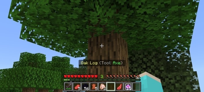 Old Version: Screenshot