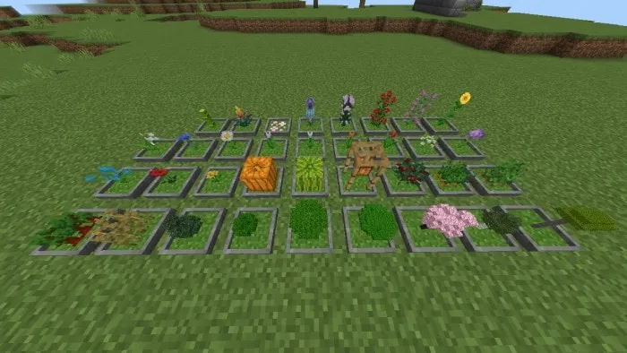 Grass Bonsais: Screenshot