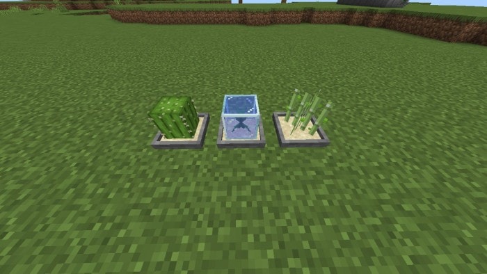 Sand Bonsais: Screenshot