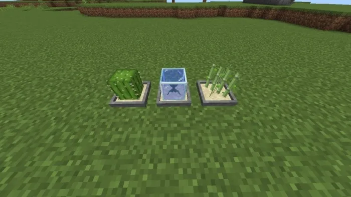 Sand Bonsais: Screenshot
