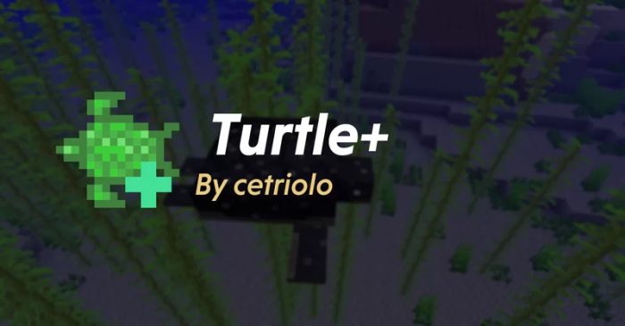 Turtle+ Banner