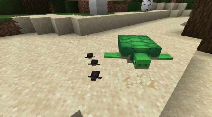 Turtle+: Screenshot 2