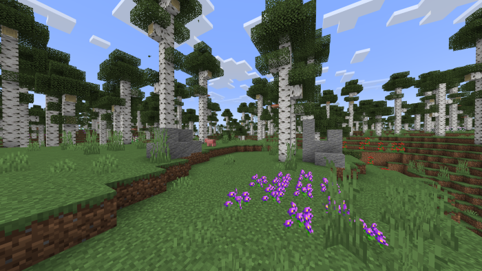 Birch Forest: Screenshot