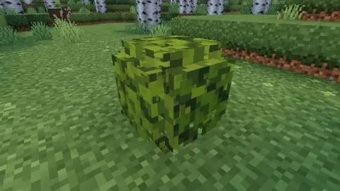 Bushy Leaves: Screenshot 1