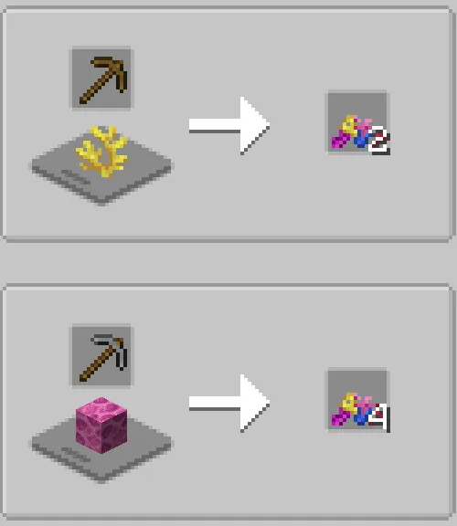 Coral Fragments Recipe 8