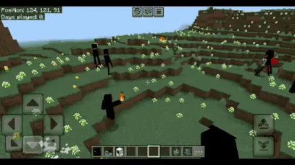 Null Showcase 1