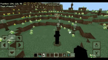 Null Showcase 2