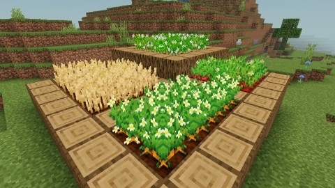 Fancy Crops: Screenshot 1