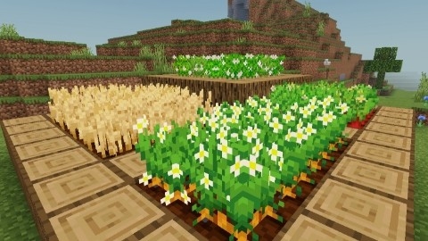 Fancy Crops: Screenshot 2