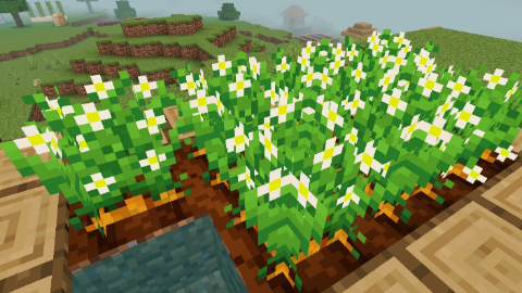 Fancy Crops: Screenshot 3