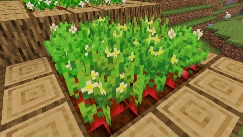 Fancy Crops: Screenshot 6