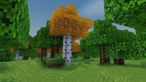 Fancy Nature: Screenshot 12