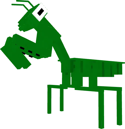 Praying Mantis Model