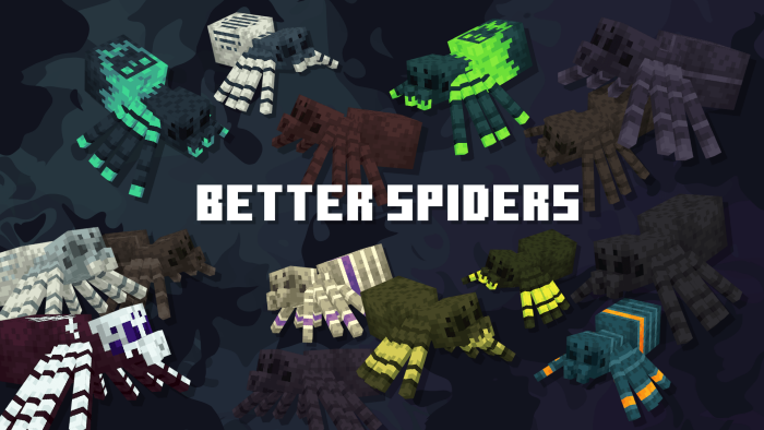 Better Spiders Banner