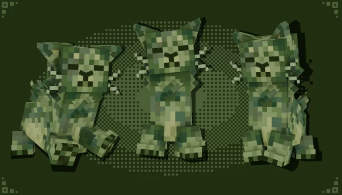 Cat Creepers Models