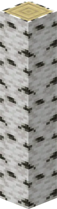 Fake Block Model 2