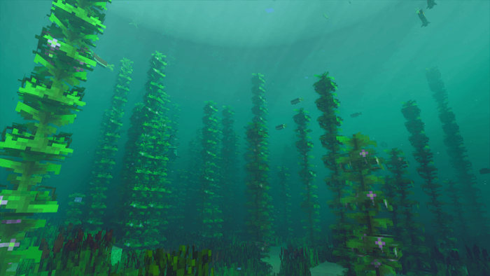 Better Kelp: Screenshot 1