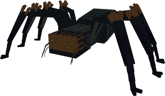 Spider Model