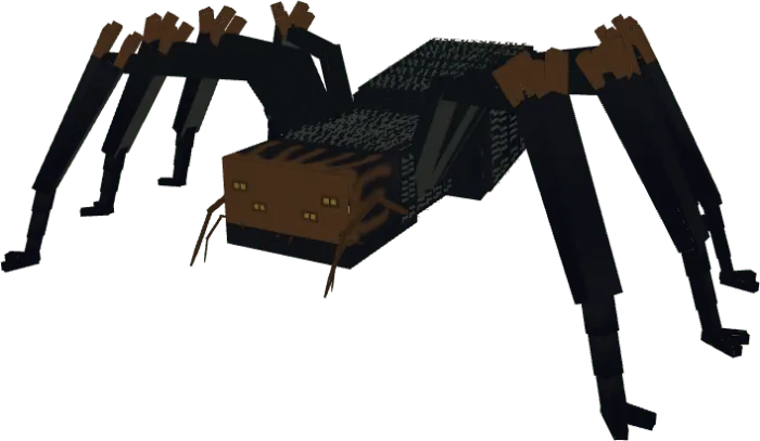 Spider Model