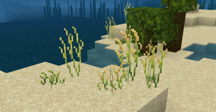 Beach Grass: Screenshot