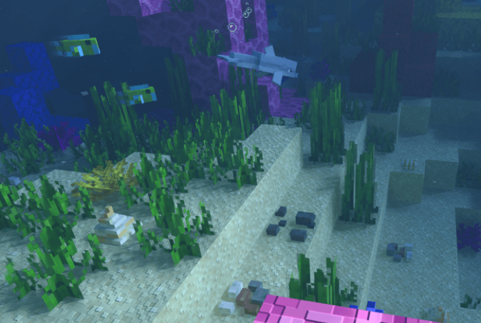 Ocean Floor: Screenshot