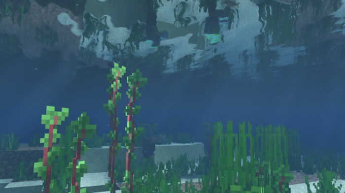 Rotala: Screenshot 2