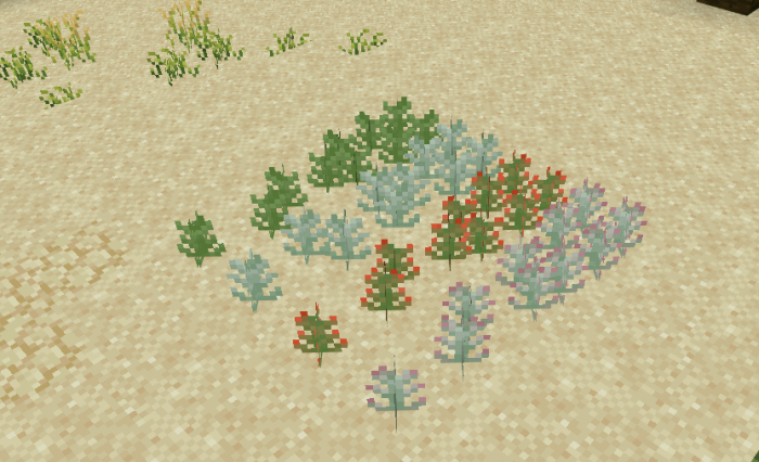 Succulents: Screenshot 1