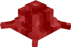 Flesh Remains