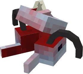 Infected Dolphin Remains